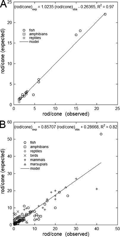 https://cdn.ncbi.nlm.nih.gov/pmc/blobs/6948/3269789/70b525499252/JGP_201110692_Fig4.jpg