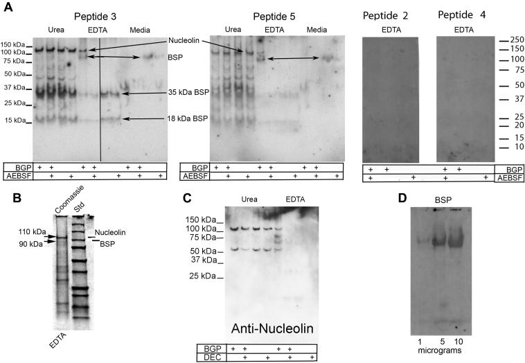 https://cdn.ncbi.nlm.nih.gov/pmc/blobs/6949/8008188/0783d1ab61e1/gr5.jpg
