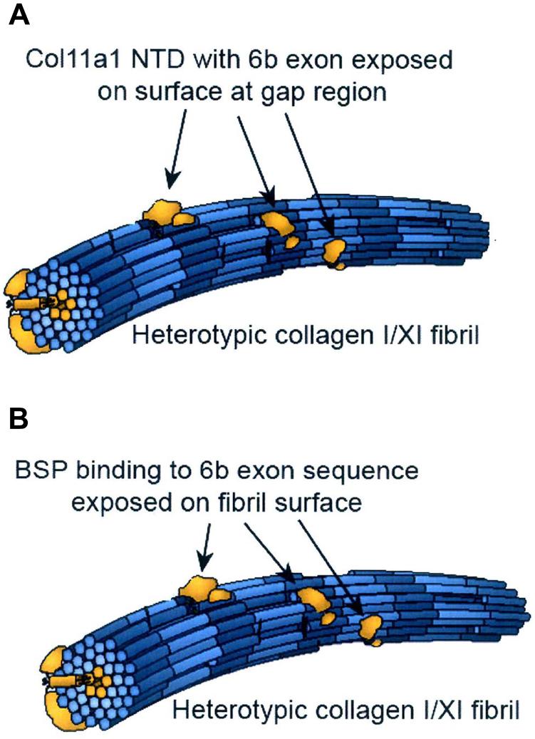 https://cdn.ncbi.nlm.nih.gov/pmc/blobs/6949/8008188/a7156f1cea5a/gr9.jpg