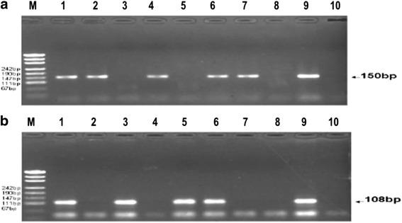https://cdn.ncbi.nlm.nih.gov/pmc/blobs/694d/4514451/8b4dfccd1281/13046_2015_185_Fig1_HTML.jpg