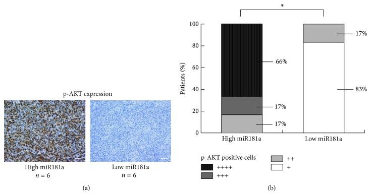 https://cdn.ncbi.nlm.nih.gov/pmc/blobs/694d/4575996/d31b3b96d755/BMRI2015-197241.002.jpg