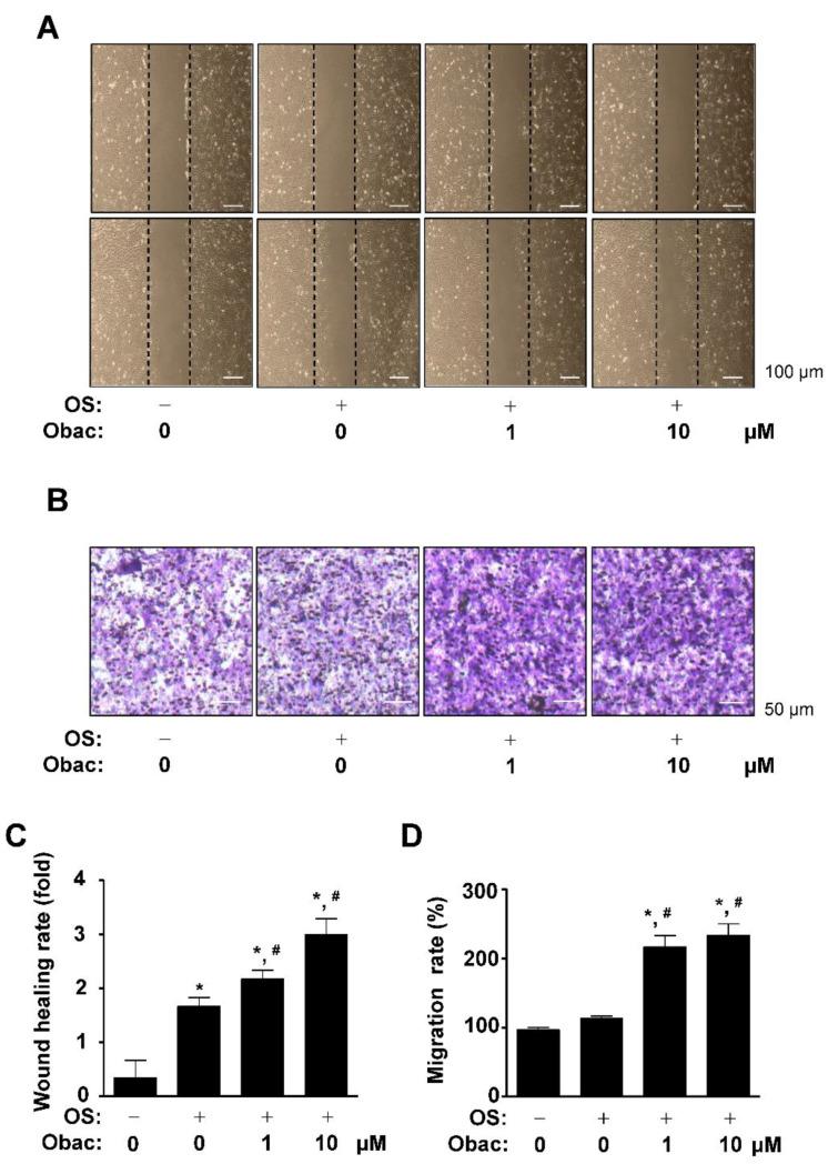 https://cdn.ncbi.nlm.nih.gov/pmc/blobs/694d/7957678/7d53d9ed1efe/ijms-22-02483-g002.jpg