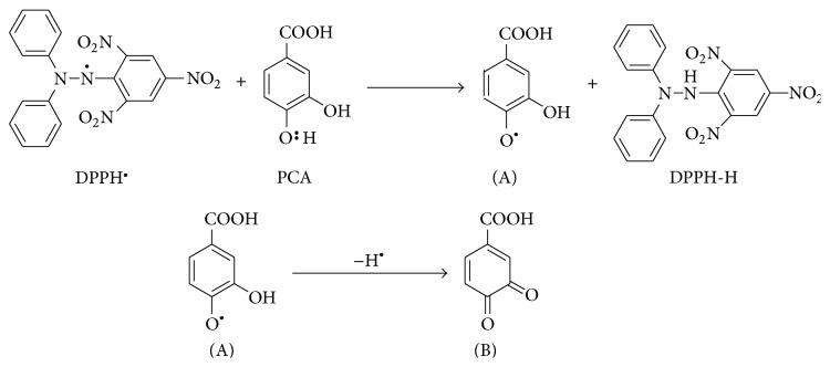 https://cdn.ncbi.nlm.nih.gov/pmc/blobs/694e/4477244/a220664fb338/OMCL2015-403023.009.jpg