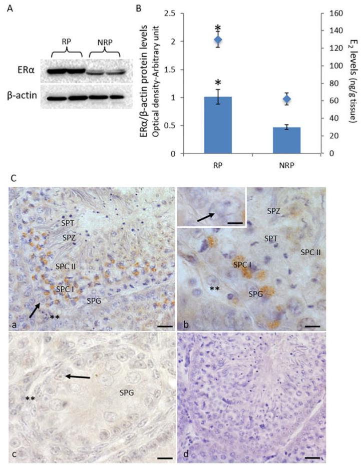 https://cdn.ncbi.nlm.nih.gov/pmc/blobs/694e/8226535/234cb87e6205/animals-11-01729-g001.jpg