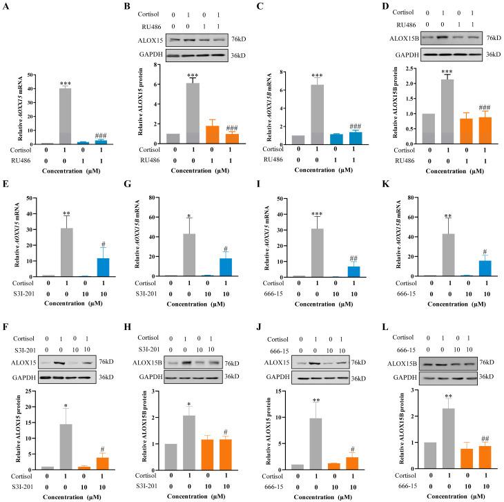 https://cdn.ncbi.nlm.nih.gov/pmc/blobs/694f/10341463/26fbcc5a53b4/ijms-24-10881-g003.jpg