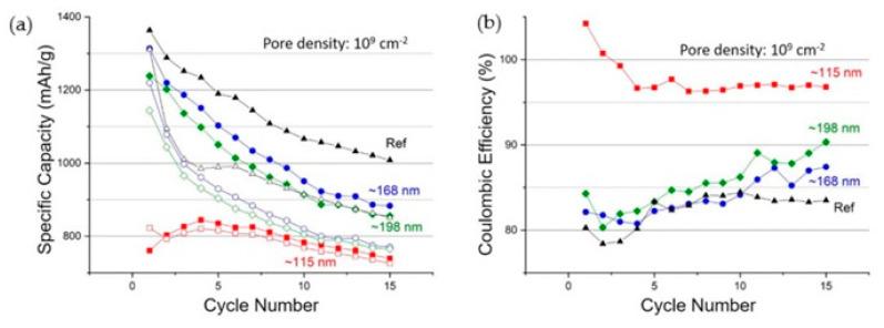 https://cdn.ncbi.nlm.nih.gov/pmc/blobs/694f/11435613/957bd794e23c/polymers-16-02616-g029.jpg