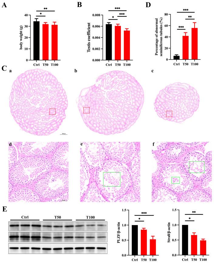 https://cdn.ncbi.nlm.nih.gov/pmc/blobs/694f/12031567/1da05d1f573e/toxics-13-00285-g001.jpg