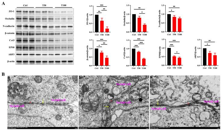 https://cdn.ncbi.nlm.nih.gov/pmc/blobs/694f/12031567/23af6ea27522/toxics-13-00285-g002.jpg