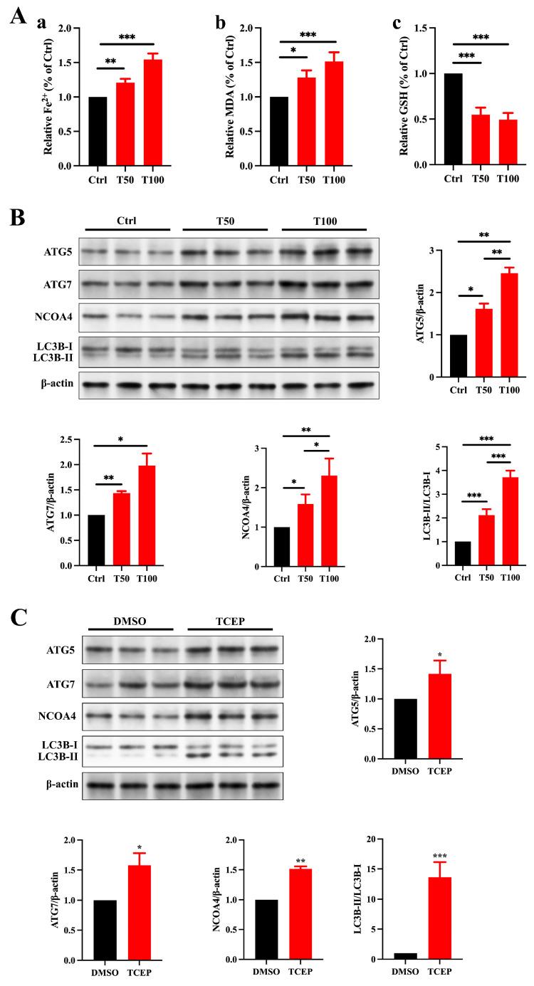 https://cdn.ncbi.nlm.nih.gov/pmc/blobs/694f/12031567/340c47d280e4/toxics-13-00285-g005.jpg