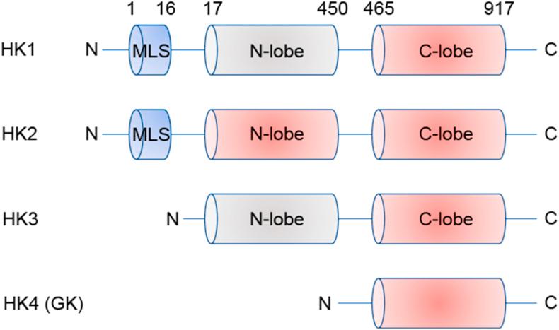 https://cdn.ncbi.nlm.nih.gov/pmc/blobs/6950/10120283/2d531e57c4fc/gr1.jpg