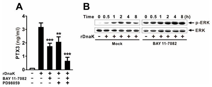 https://cdn.ncbi.nlm.nih.gov/pmc/blobs/6951/8125396/0ec5201d971e/ijms-22-04652-g003.jpg