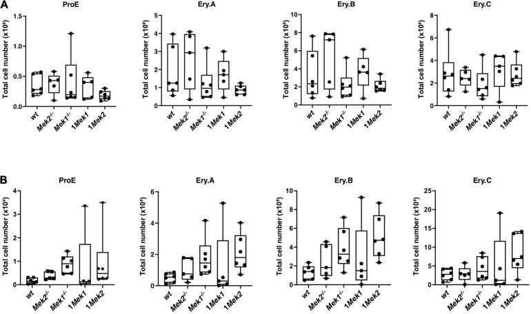 https://cdn.ncbi.nlm.nih.gov/pmc/blobs/6953/8353236/b21f53784a3b/fcell-09-639022-g008.jpg