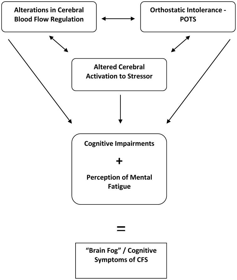 https://cdn.ncbi.nlm.nih.gov/pmc/blobs/6954/3617392/6a0fa932abbf/fphys-04-00063-g0001.jpg