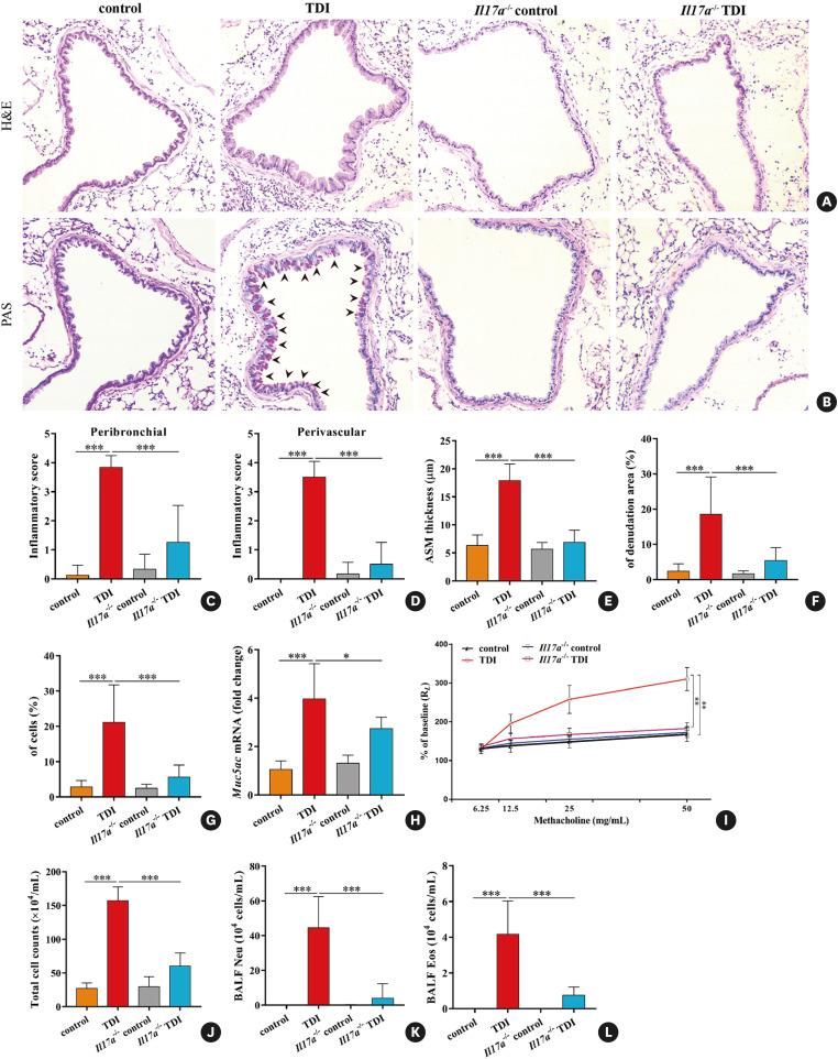https://cdn.ncbi.nlm.nih.gov/pmc/blobs/6956/9523423/636ef74d4db1/aair-14-528-g001.jpg