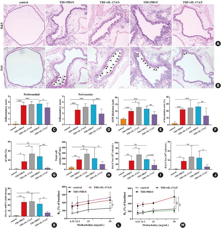 https://cdn.ncbi.nlm.nih.gov/pmc/blobs/6956/9523423/cde3f0872ccc/aair-14-528-g005.jpg