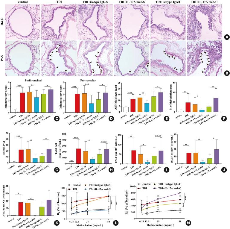 https://cdn.ncbi.nlm.nih.gov/pmc/blobs/6956/9523423/d6be2b365069/aair-14-528-g003.jpg