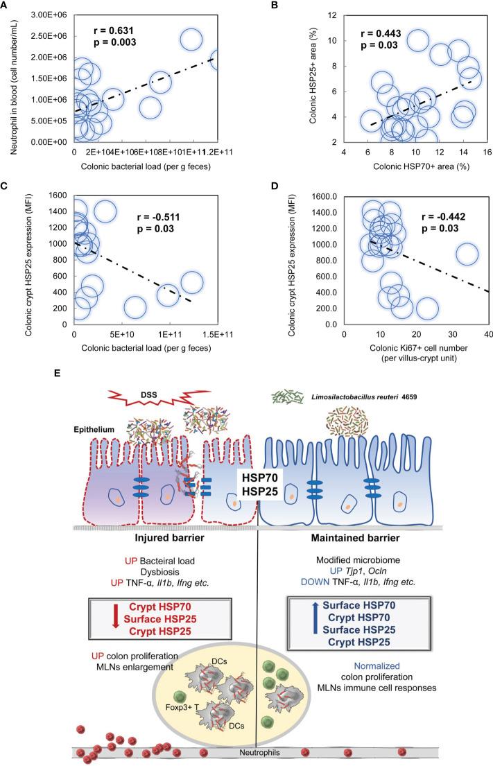 https://cdn.ncbi.nlm.nih.gov/pmc/blobs/6957/8934773/017bdbd56c12/fimmu-13-865982-g008.jpg