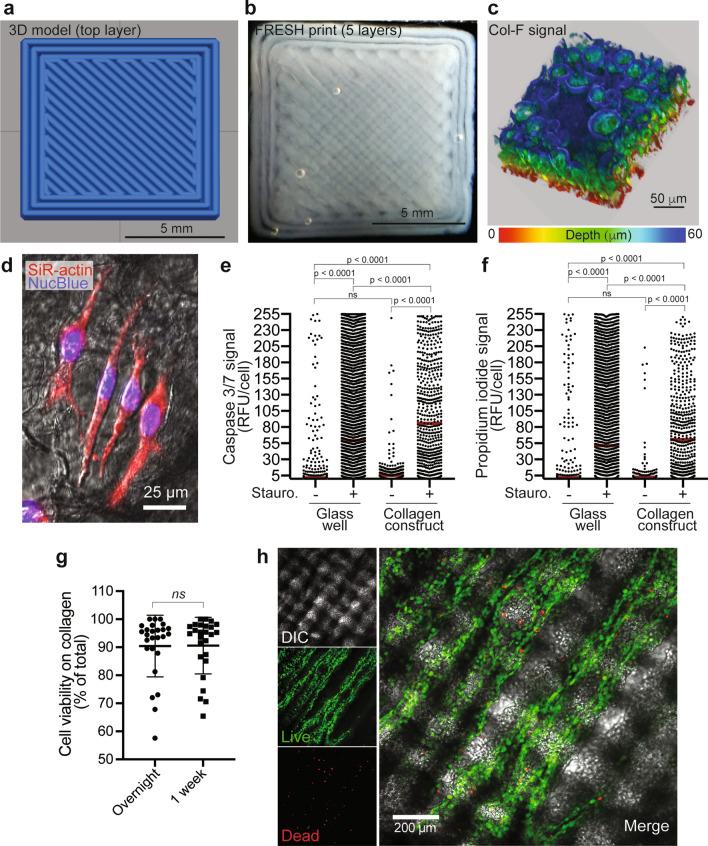 https://cdn.ncbi.nlm.nih.gov/pmc/blobs/6959/8566469/0dea337bca32/41598_2021_931_Fig3_HTML.jpg