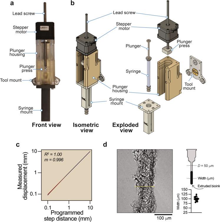 https://cdn.ncbi.nlm.nih.gov/pmc/blobs/6959/8566469/d07668ed07bb/41598_2021_931_Fig2_HTML.jpg