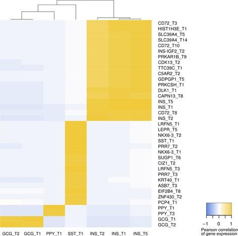 https://cdn.ncbi.nlm.nih.gov/pmc/blobs/695b/5295709/5deb996459a3/EMBR-17-178-g007.jpg