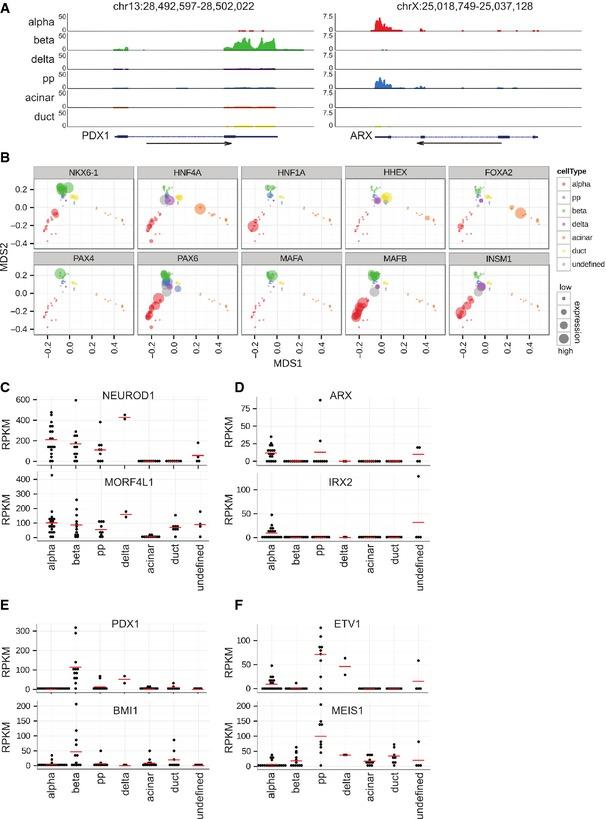 https://cdn.ncbi.nlm.nih.gov/pmc/blobs/695b/5295709/7e6fd801a188/EMBR-17-178-g004.jpg