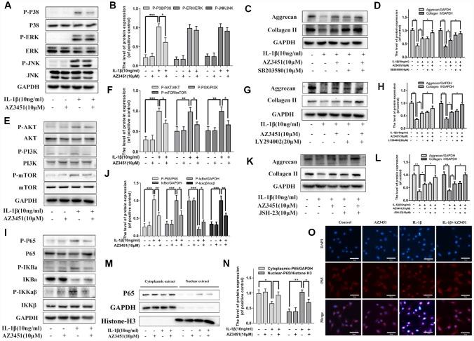 https://cdn.ncbi.nlm.nih.gov/pmc/blobs/695c/6949101/108ae67f357b/aging-11-102586-g006.jpg