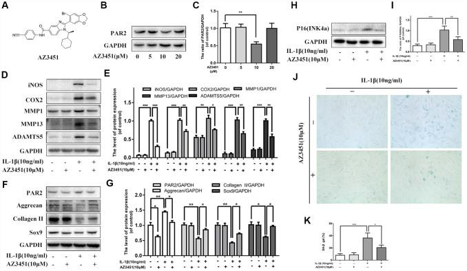 https://cdn.ncbi.nlm.nih.gov/pmc/blobs/695c/6949101/c6fff0f9b4eb/aging-11-102586-g002.jpg