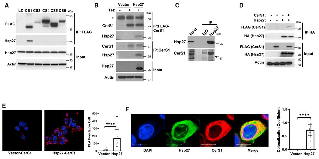 https://cdn.ncbi.nlm.nih.gov/pmc/blobs/695e/10591768/796adc5c727a/nihms-1933904-f0001.jpg