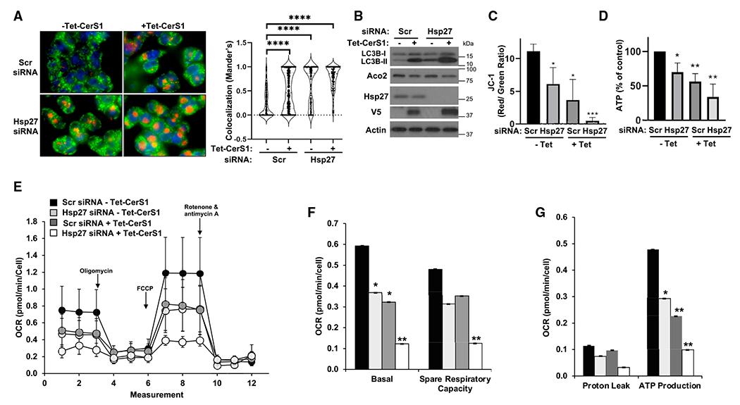 https://cdn.ncbi.nlm.nih.gov/pmc/blobs/695e/10591768/b39d6ca3b098/nihms-1933904-f0006.jpg