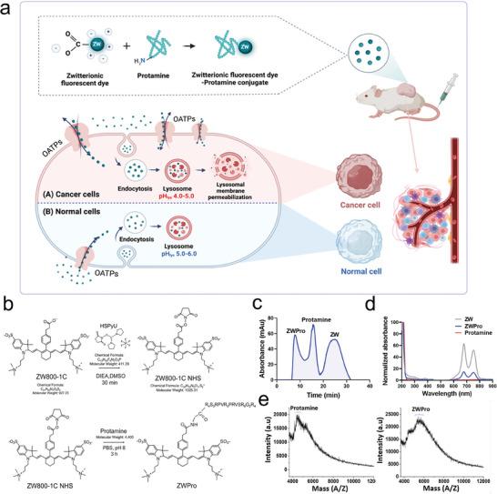 https://cdn.ncbi.nlm.nih.gov/pmc/blobs/695f/11538690/3429a5aec84c/ADVS-11-2401424-g001.jpg