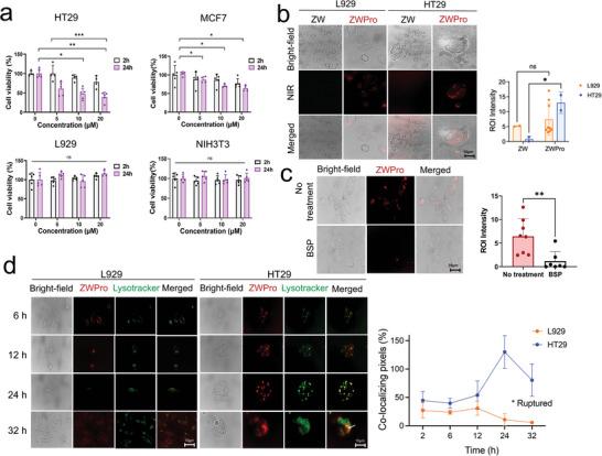 https://cdn.ncbi.nlm.nih.gov/pmc/blobs/695f/11538690/e8b491c1e295/ADVS-11-2401424-g004.jpg