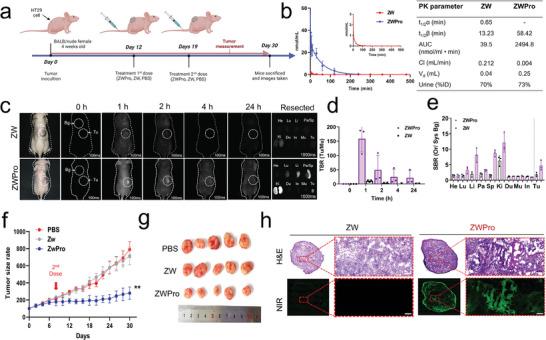 https://cdn.ncbi.nlm.nih.gov/pmc/blobs/695f/11538690/f2cb01f49d24/ADVS-11-2401424-g005.jpg