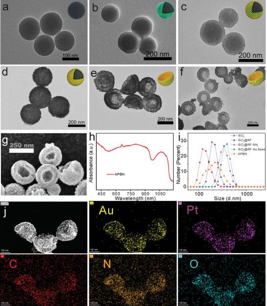 https://cdn.ncbi.nlm.nih.gov/pmc/blobs/6960/10987158/1b309179cea9/ADVS-11-2306301-g005.jpg