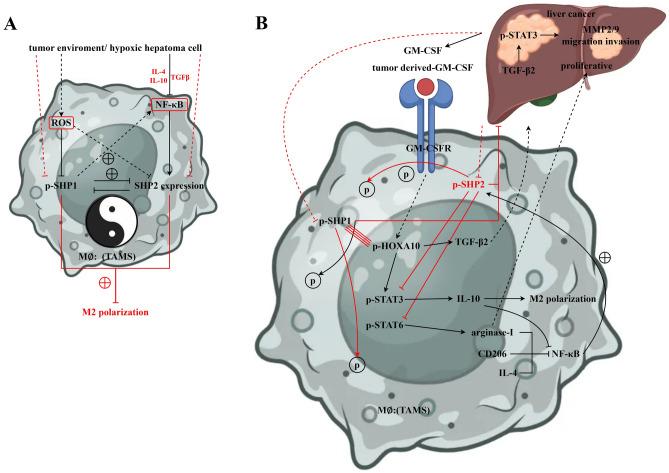 https://cdn.ncbi.nlm.nih.gov/pmc/blobs/6960/11033275/684437230ff7/41598_2024_59725_Fig5_HTML.jpg