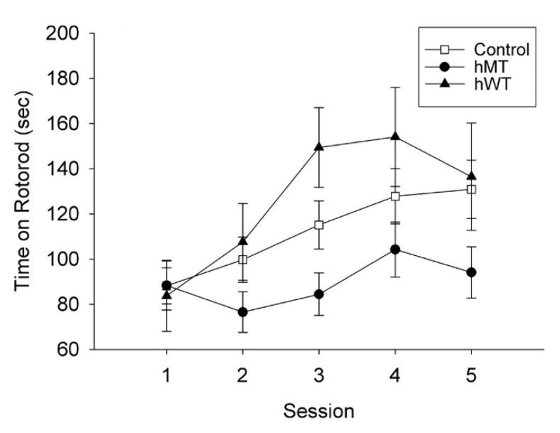 https://cdn.ncbi.nlm.nih.gov/pmc/blobs/6960/9368787/081a8e14d534/ijms-23-08580-g001.jpg