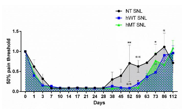 https://cdn.ncbi.nlm.nih.gov/pmc/blobs/6960/9368787/a02a2874ae77/ijms-23-08580-g002.jpg