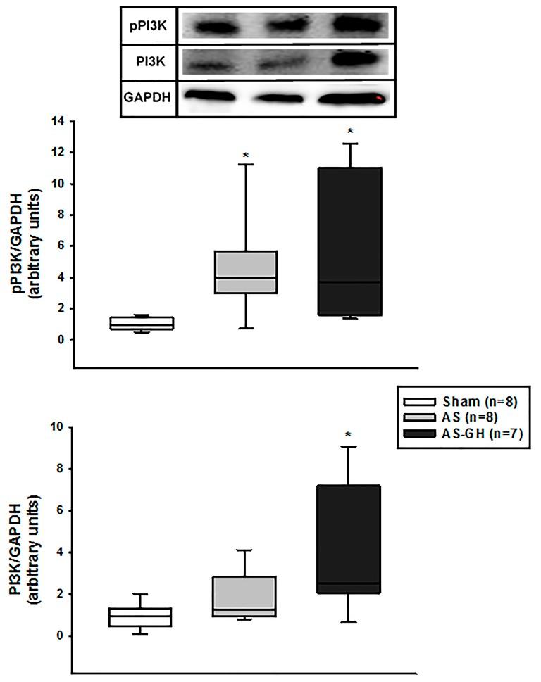 https://cdn.ncbi.nlm.nih.gov/pmc/blobs/6961/5669945/4f5fcba4a225/oncotarget-08-83009-g004.jpg
