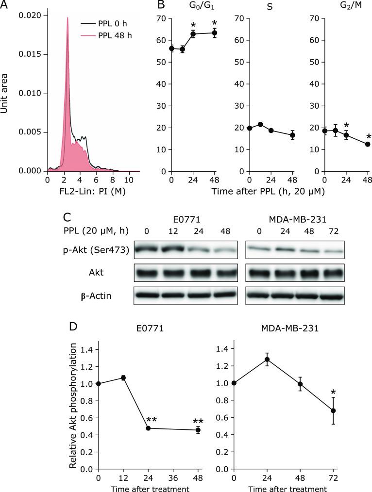https://cdn.ncbi.nlm.nih.gov/pmc/blobs/6961/8129977/1f6d977f1589/jcbn20-73f02.jpg