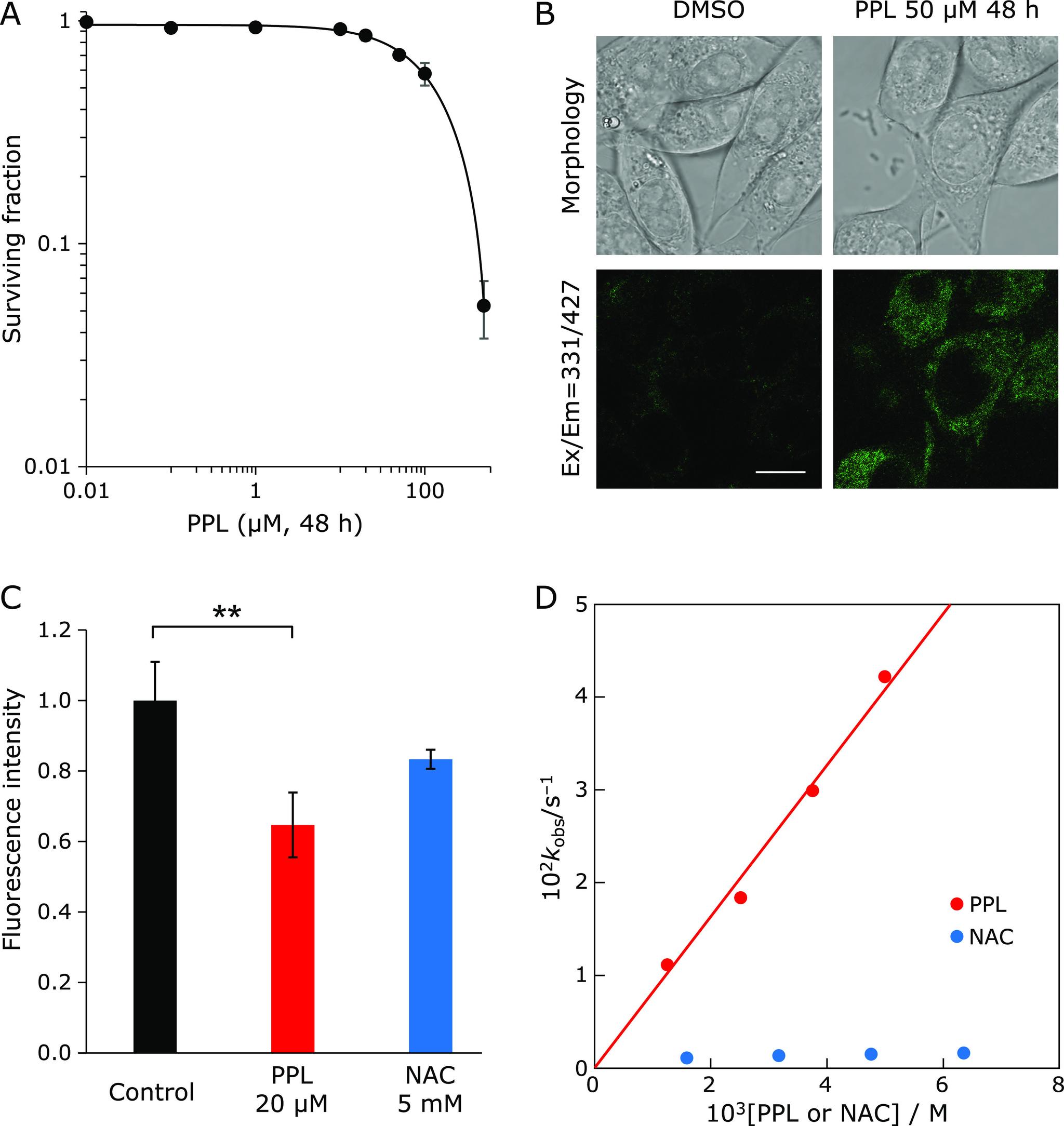 https://cdn.ncbi.nlm.nih.gov/pmc/blobs/6961/8129977/b13e9a5dff44/jcbn20-73f01.jpg