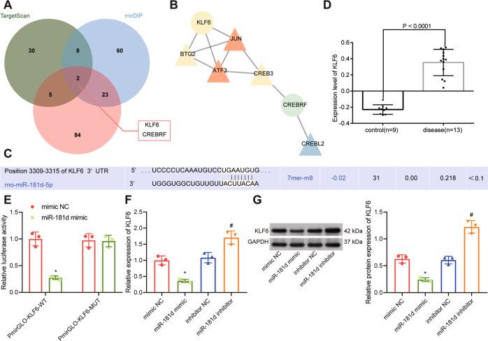 https://cdn.ncbi.nlm.nih.gov/pmc/blobs/6962/9174332/e35b6feab501/41419_2022_4875_Fig4_HTML.jpg