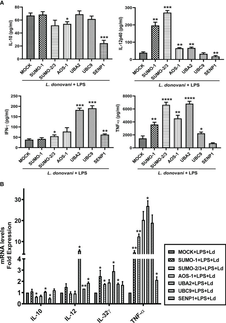 https://cdn.ncbi.nlm.nih.gov/pmc/blobs/6962/9207379/0dbb00c65341/fcimb-12-878136-g006.jpg
