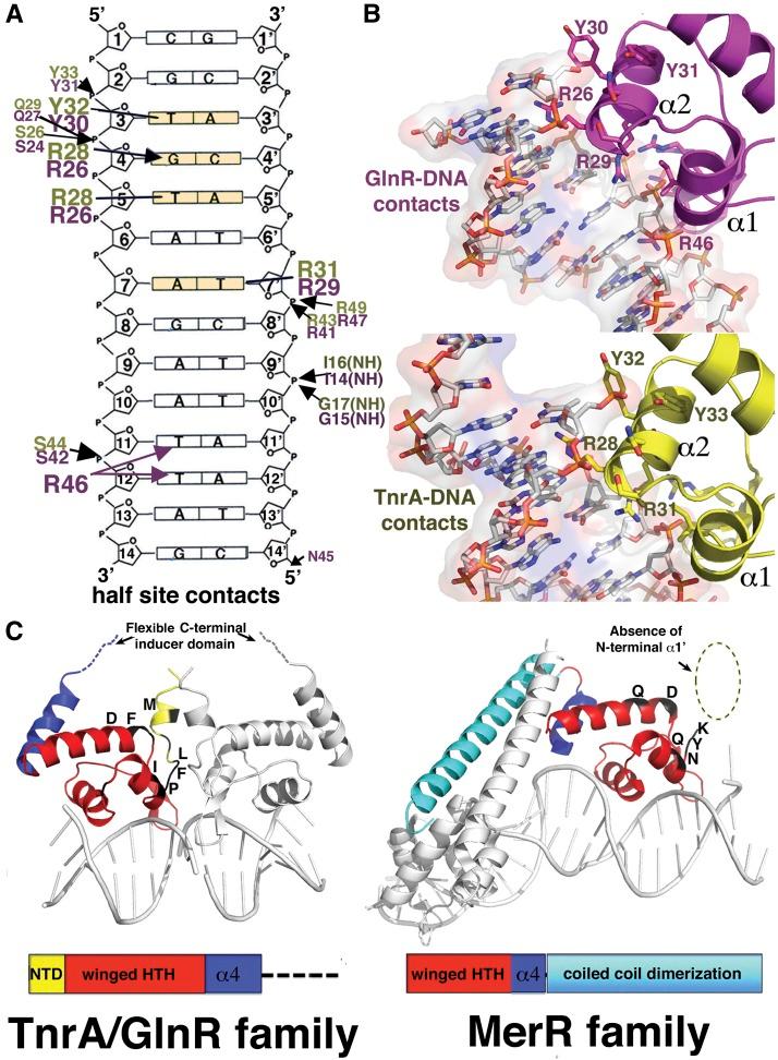 https://cdn.ncbi.nlm.nih.gov/pmc/blobs/6965/4335299/4f19ff899468/451fig2.jpg