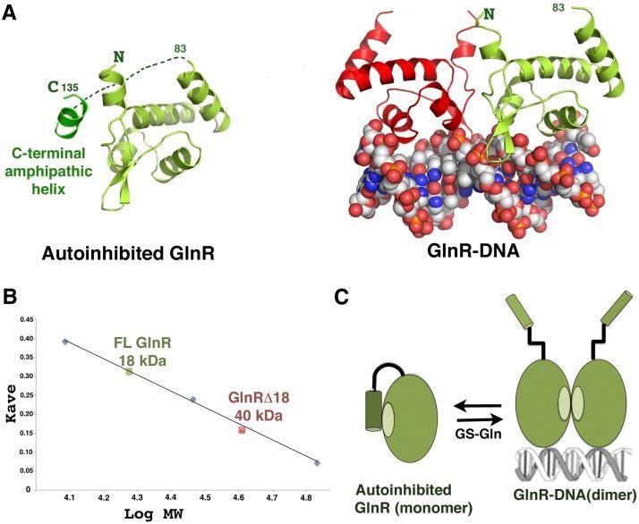 https://cdn.ncbi.nlm.nih.gov/pmc/blobs/6965/4335299/f3f11373dd0a/451fig3.jpg