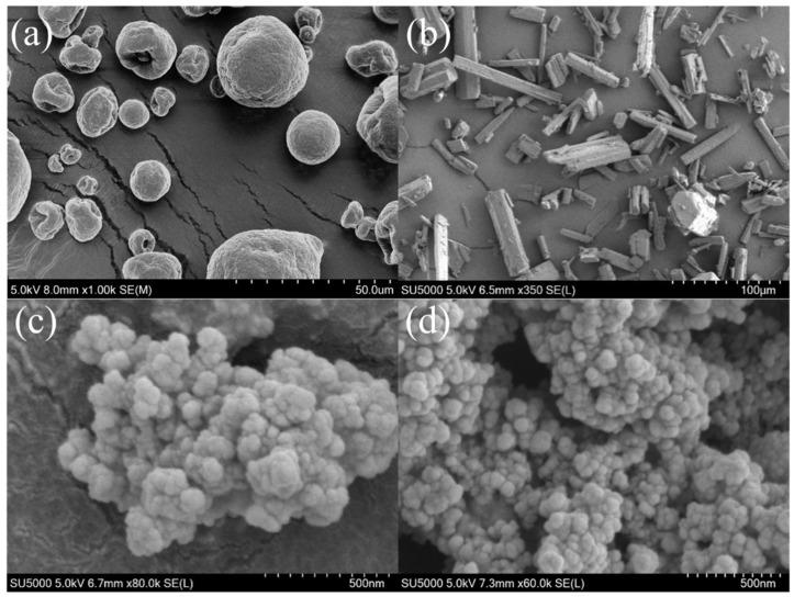 https://cdn.ncbi.nlm.nih.gov/pmc/blobs/6965/9330801/4d8d8650c1e4/materials-15-05166-g006.jpg
