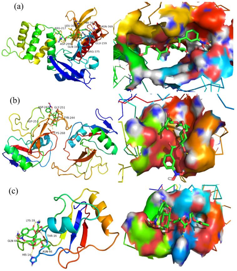 https://cdn.ncbi.nlm.nih.gov/pmc/blobs/6965/9330801/6660a3c172c7/materials-15-05166-g009a.jpg