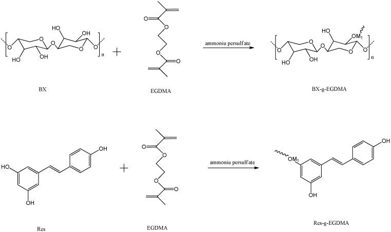 https://cdn.ncbi.nlm.nih.gov/pmc/blobs/6965/9330801/c5e2feb51c0c/materials-15-05166-g001a.jpg