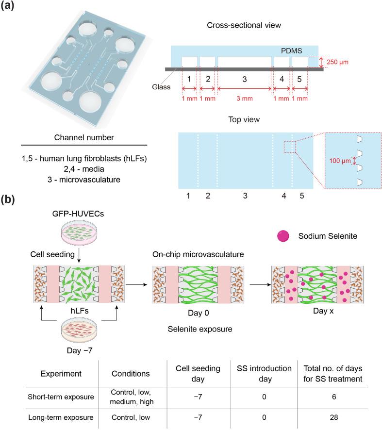 https://cdn.ncbi.nlm.nih.gov/pmc/blobs/6965/9665962/13a7cf3566d9/ABPID9-000006-046105_1-g001.jpg