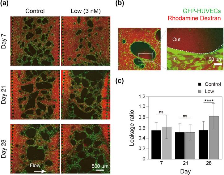 https://cdn.ncbi.nlm.nih.gov/pmc/blobs/6965/9665962/2bcbf9ac8e59/ABPID9-000006-046105_1-g004.jpg