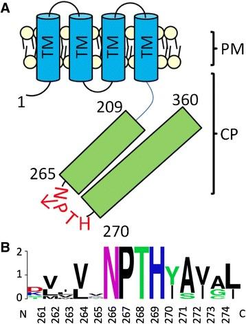 https://cdn.ncbi.nlm.nih.gov/pmc/blobs/6967/4875606/11c0737de26e/12866_2016_702_Fig1_HTML.jpg
