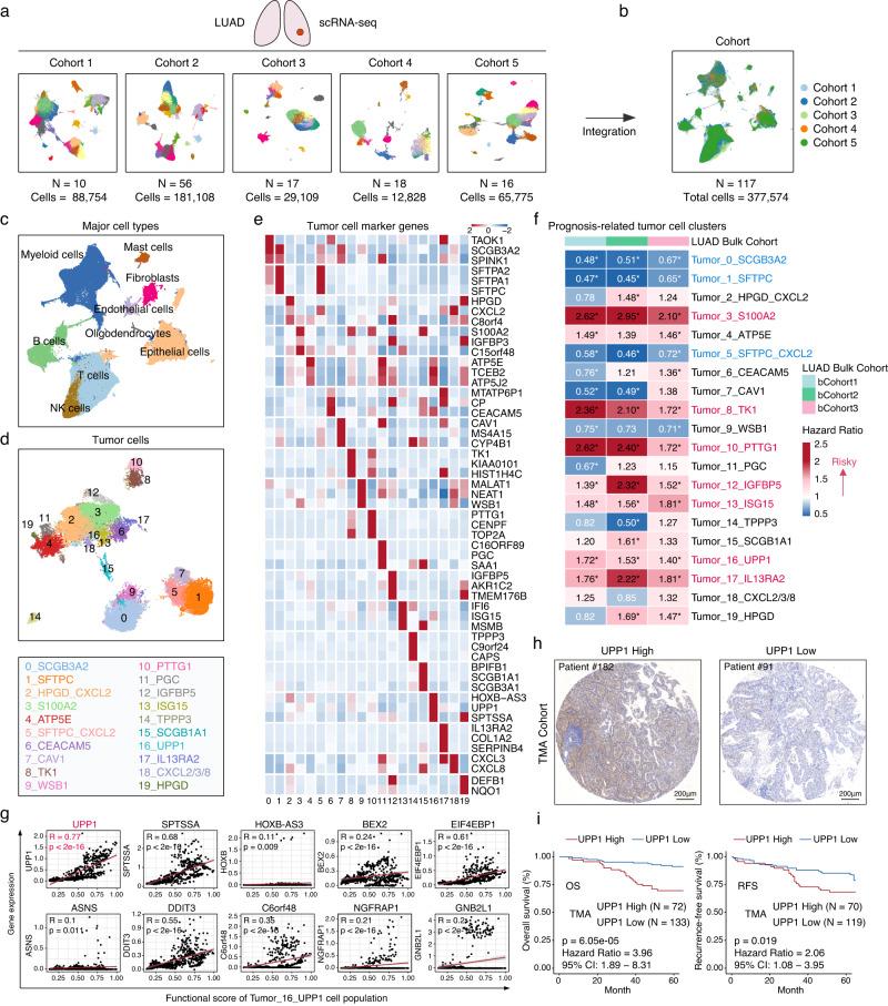 https://cdn.ncbi.nlm.nih.gov/pmc/blobs/6968/10853547/44215f62720d/41467_2024_45340_Fig1_HTML.jpg